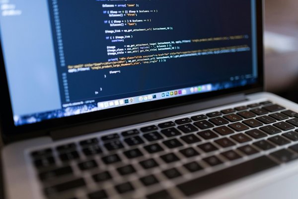 Créez un site wordpress sur mesure pour votre activité